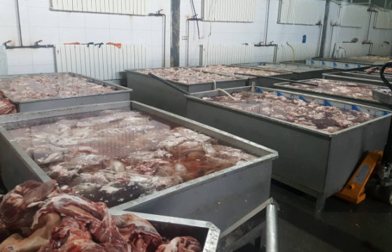 Эмээлтийн өмхийрсөн махны хэргийн шүүх хурал эхэллээ