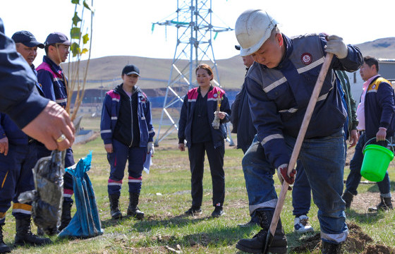  Үйлдвэрийн орчинд мод тарилаа