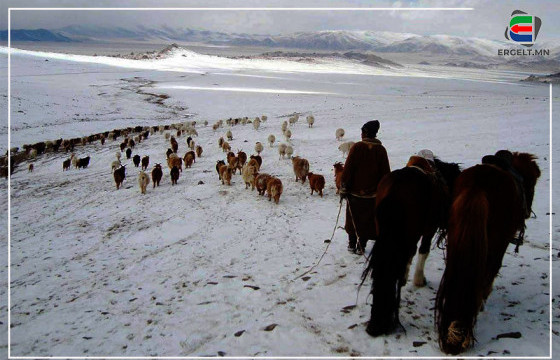 ЭНЭ ЖИЛ 12 АЙМАГТ ЦАГААН ЗУД НҮҮРЛЭЭД БАЙНА