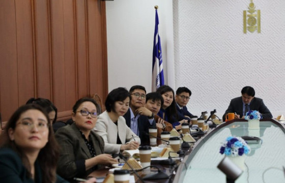 Албан бус хөдөлмөр эрхлэлтийг бүртгэлжүүлэх, албажуулахад ашиглах системийн дизайн боловсруулна