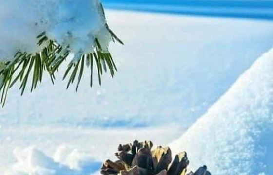 ЦАГ АГААР: Өдөртөө 9 хэм хүйтэн