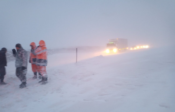 Цасан шуурганд төөрсөн дөрвөн иргэнийг эсэн мэнд олжээ 