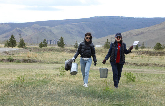  ЭМДЕГ-ын 200 гаруй албан хаагч “Алхангаа арчилъя, сурталчилъя” уриан дор тарьсан модоо усалж арчиллаа