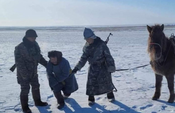 Малдаа яваад төөрсөн иргэнийг хилчид аварчээ