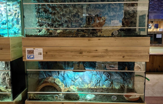 Улаанбаатар амьтны хүрээлэн хаалгаа барих болсноо мэдэгдлээ