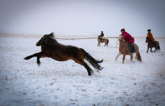 Зүүн бүсийн адуучин тэмцээн боллоо