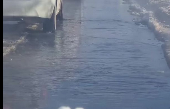 УСУГ-ЫН МЭРГЭЖИЛТЭН: Шугам задраагүй, орон сууцны бохирын шугам бөглөрснөөс болж гадарга дээр ус тогтсон