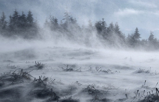 Цасан шуурганы улмаас бүртгэгдсэн 29 удаагийн дуудлагаар ажиллаж, 89 иргэний амийг авран хамгаалсан