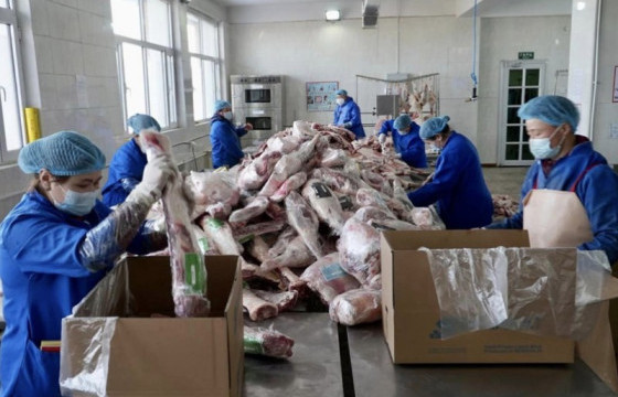 Өвөрхангай аймгаас Иран Улс руу мах экспортолж байна