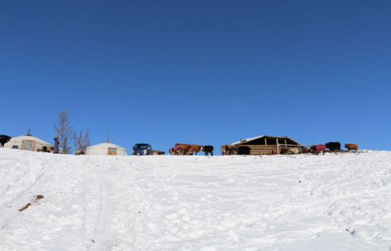 НИЙТ НУТГИЙН 50 ОРЧИМ ХУВЬД ЗУДЫН ЭРСДЭЛ ИХ ГАРЧЭЭ