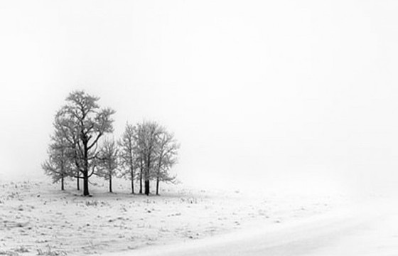 Нийт нутгийн 80 гаруй хувь цастай байна