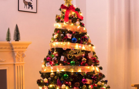 Гацуур модныхоо гэрлийг нэг цагаас илүү асаахгүй байхыг уриалж байна