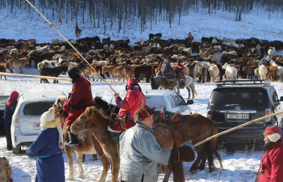 Дархан-Уул аймгийн “Адуучин-2023” тэмцээн өндөрлөв
