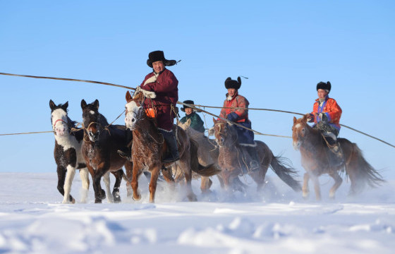 Төвийн бүсийн адуучин тэмцээн Орхонтуул суманд болно