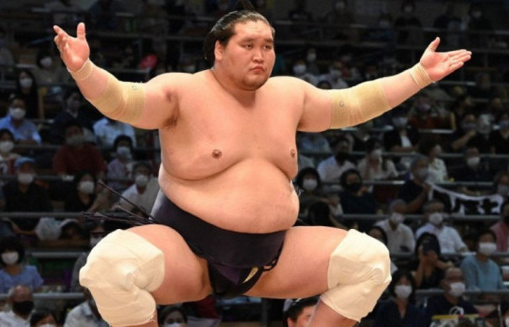 ЁКОЗУНА Г.ГАН-ЭРДЭНЭД МОНГОЛ УЛСЫН ГАВЬЯАТ ТАМИРЧИН ЦОЛ ХҮРТЭЭЖЭЭ