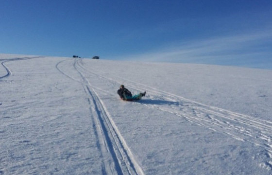 Цана, чаргаар гулгахад анхаарах зөвлөмж