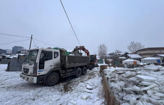 Нийслэлд халиа, дошин үүсэх эрсдэл өндөр байна