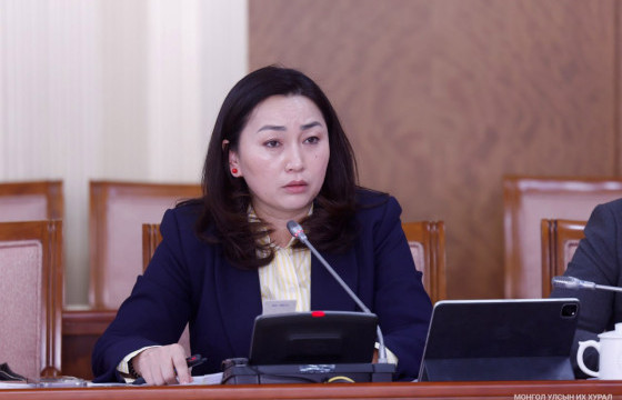 НББХ: Хүүхэд хамгааллын тухай хуулийн төслийн эцсийн хэлэлцүүлэг болжээ