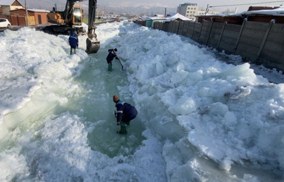 Халиа, тошин үүссэн байршлуудад шуурхай баг өдөр бүр ажиллаж байна