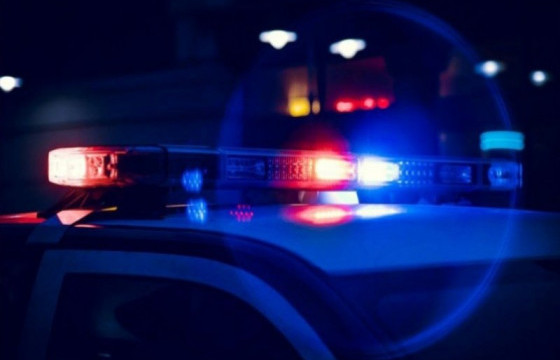 ЦЕГ: Зоориноос 100 шуудай хүнсний ногоо хулгайлсан этгээдийг илрүүлжээ