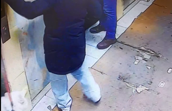 Хошуувчтай нохойгоо хөтлөөд, лифтэнд суух гэсэн охиныг загнаж, өшиглөсөн этгээдийг 300 мянгаар торгожээ