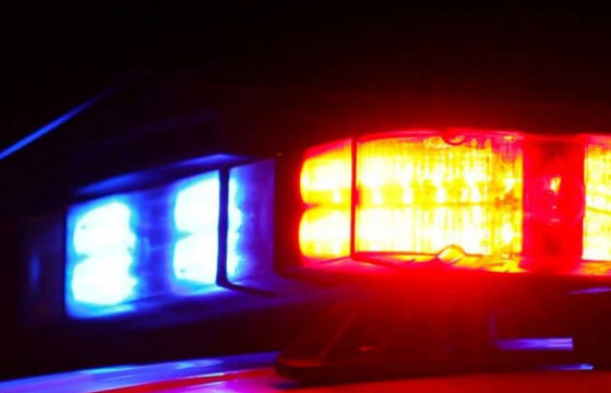 Бусдын гар утсыг нь дээрэмдэн зугтсан этгээдийг шуурхай илрүүллээ