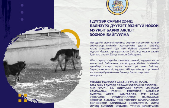 Нэгдүгээр сарын 22-нд Баянзүрх дүүрэгт эзэнгүй нохой, муурыг барих ажлыг зохион байгуулна