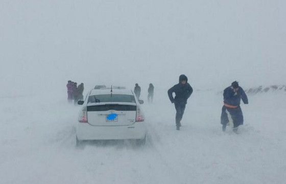 Цас орж, цасан шуурга шуурна