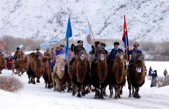 “Монголын тэмээн соёл” улсын зөвлөгөөн Баянхонгор аймагт эхэллээ