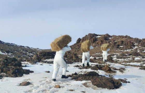 Зэрлэг амьдад зориулан 100 боодол өвс байршуулан биотехникийн арга хэмжээг хэрэгжүүллээ