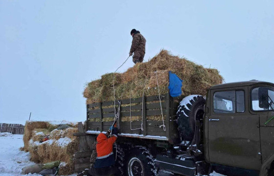ӨВӨЛЖИЛТ ХҮНДЭРСЭН ДОРНОГОВЬ, ТӨВ АЙМГИЙН СУМДАД ЦЭРГИЙНХЭН АЖИЛЛАЖ БАЙНА 