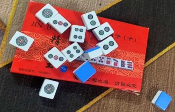 Гадаад улсын иргэд мөрийтэй тоглоом зохион байгуулсан үйлдлийг илрүүлэн шалгаж байна