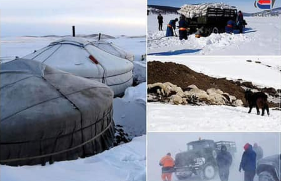 ТЭД БИДНИЙ ТУХАЙ: ЗУДЫН АЮУЛ НӨМӨРСӨН МОНГОЛЫН ТАРТАГТАА ТУЛСАН МАЛЧИН ӨРХҮҮДЭД ТУСЛАМЖ ХЭРЭГТЭЙ БАЙНА