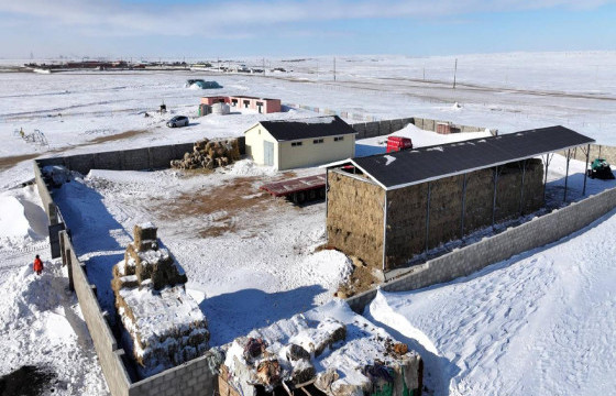 Малчид 20100 толгой мал худалдах захиалгаа хөдөө аж ахуйн биржэд өгчээ