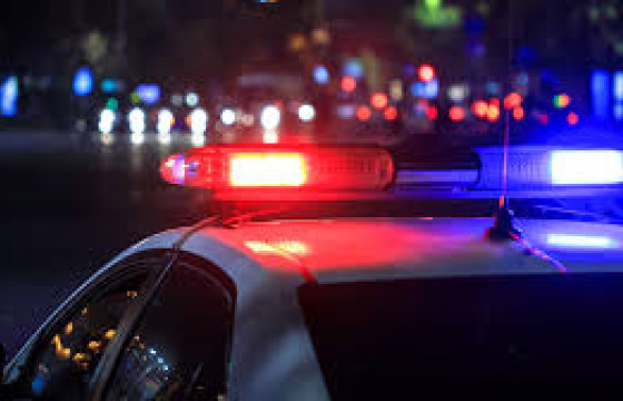 Бусдыг хөнөөж, цогцсыг нь хогийн цэгт хаясан этгээдийг баривчилжээ 