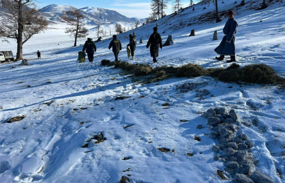 Нэн ховор амьтад идээшдэг газар нэг тонн давс, 200 кг хужир, шүү, 10 боодол өвс тавьжээ