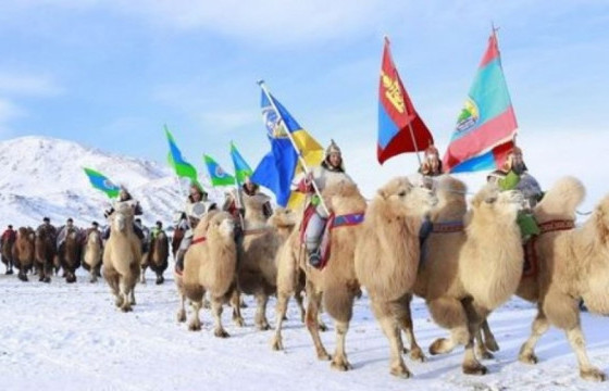 Түмэн  тэмээний баяр Өмнөгвь аймагт өнөөдөр эхэллээ