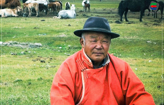 Д.ПҮРЭВДОРЖ: МИНИЙ ЦҮДГЭР ХҮРЭН ГҮҮНЭЭС ХОЁР ХЭЭР УНАГА ГАРСАН. НЭГ НЬ АЛДАРТ МОНГОЛ ХЭЭР АЗАРГА, НӨГӨӨХ НЬ ДҮҮ ХЭЭР НЬ ЮМ ШҮҮ ДЭЭ