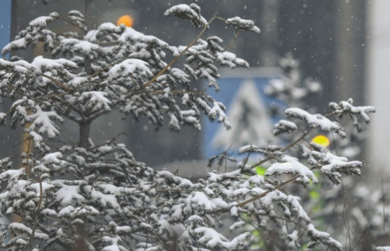 Энэ долоо хоногийн цаг агаарын ерөнхий төлөв