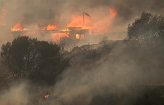 Чилийн ойд түймэр гарч, 100 гаруй хүн амиа алджээ
