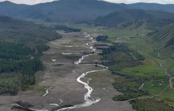 Хариуцах эзэнгүй орхигдсон 1229,8 га талбайд 100 хувь нөхөн сэргээлт хийжээ