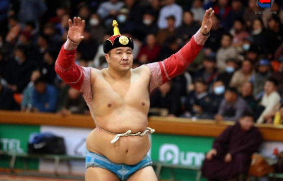 Улсын заан Б.Пүрэвсайханд улсын аварга П.Бүрэнтөгс өвдөг шороодлоо