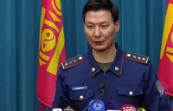 УОК-ИЙН НАРИЙН БИЧГИЙН ДАРГА Б.БАЯРХҮҮ: Улсын хэмжээнд  608 мянган мал хорогдоод байна