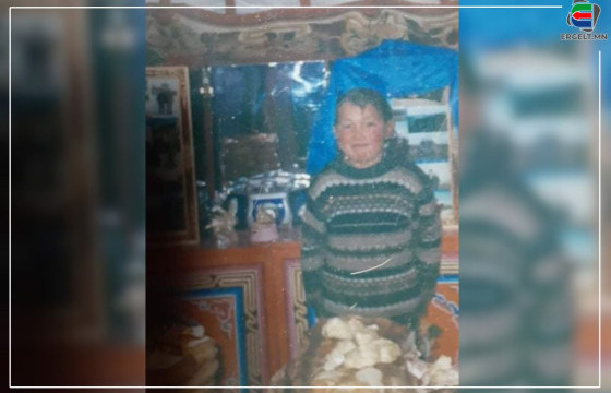 ДҮҮГЭЭ ХАЙСАН ХАРГУЙ