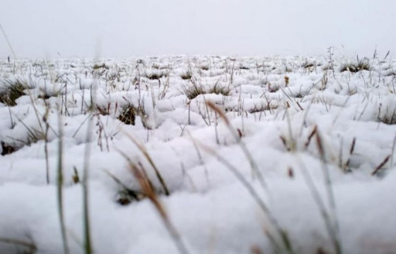 Ховдын Үенч суманд хамгийн их буюу 17 мм зузаан цас оржээ