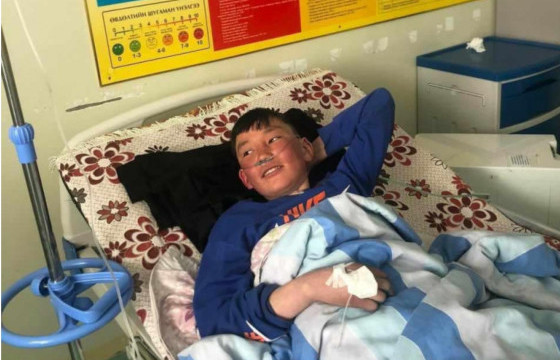 Цасан шуурганд төөрсөн хүү хонин дундаа орж суун дулаацсаар эсэн мэнд аврагджээ