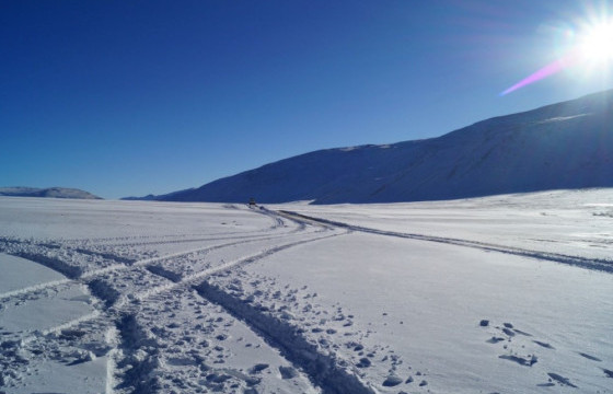 Малдаа явсан 50 настай эмэгтэй осгож, нас баржээ 
