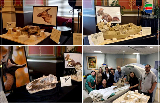 ТАНИЛЦ: АНУ-ААС МОНГОЛД АВЧИРСАН ҮЛЭГ ГҮРВЭЛИЙН 16 ХОВОР ОЛДВОР