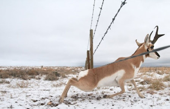 Судалгаанд суурилсан, стандартын гарц, гарам хийж байна 