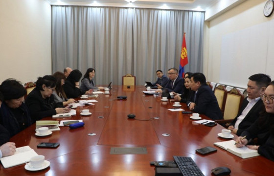 ХНХЯ, хүүхдийн төлөө үндэсний зөвлөлийн гишүүдийн төлөөлөл Соёлын яаманд ажиллалаа